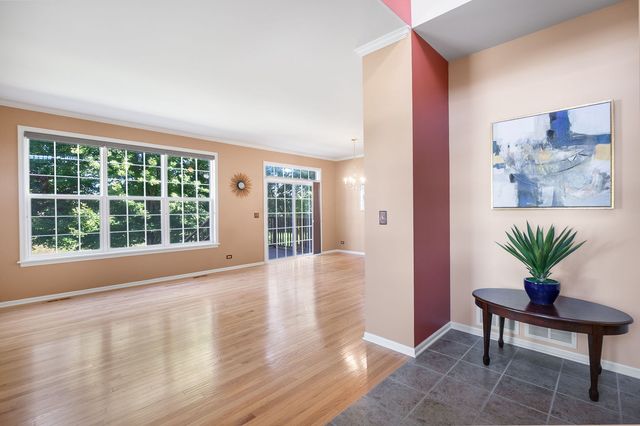 1319 W Crane View Court, Round Lake, IL 60073