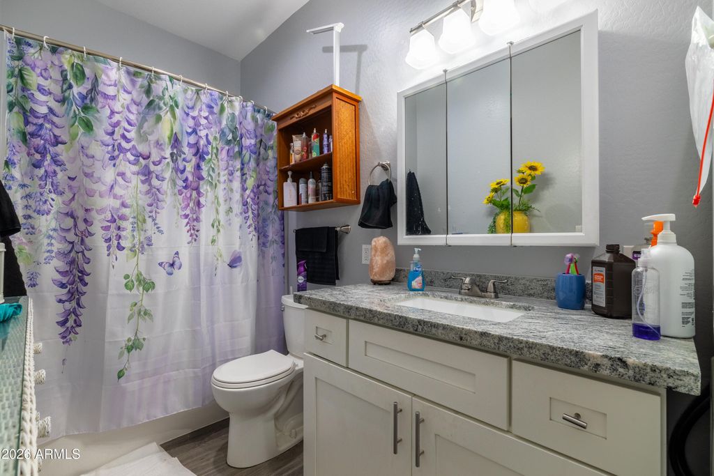 Image 10 of property listing at 317 N SAGUARO Drive, Apache Junction, AZ 85120