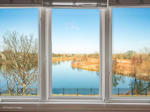 25704 Pastoral Drive, Plainfield, IL 60585