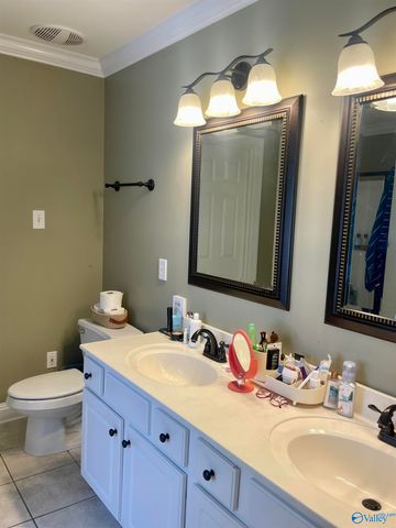 176 Forest Home Drive, Trinity, AL 35673