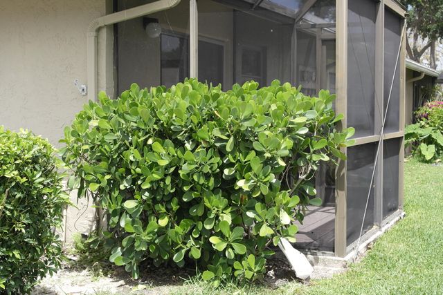 18890 Candlewick Drive B, Boca Raton, FL 33496