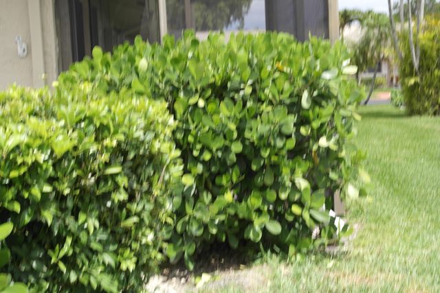 18890 Candlewick Drive B, Boca Raton, FL 33496