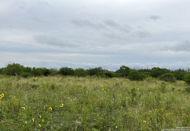 14895 wheeler, Atascosa, TX 78002