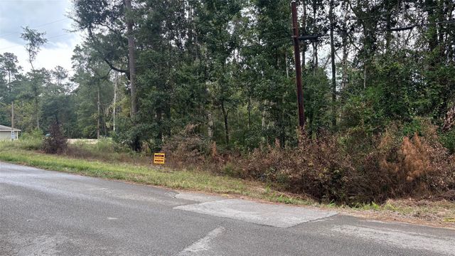 0 Royal Lake Drive, Conroe, TX 77303