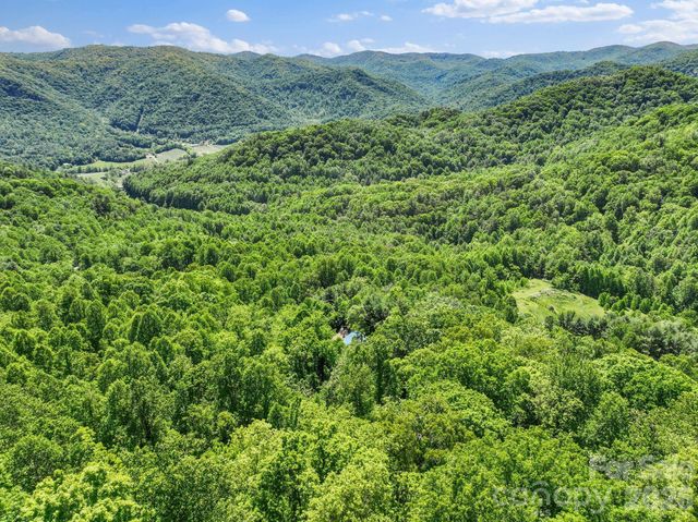 1206 Caldwell Mountain Road, Hot Springs, NC 28743