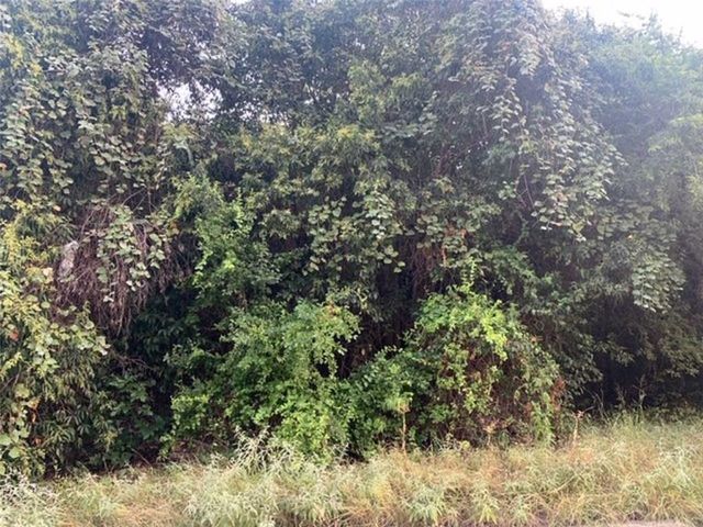 610 W Nash ST, Round Rock, TX 78664