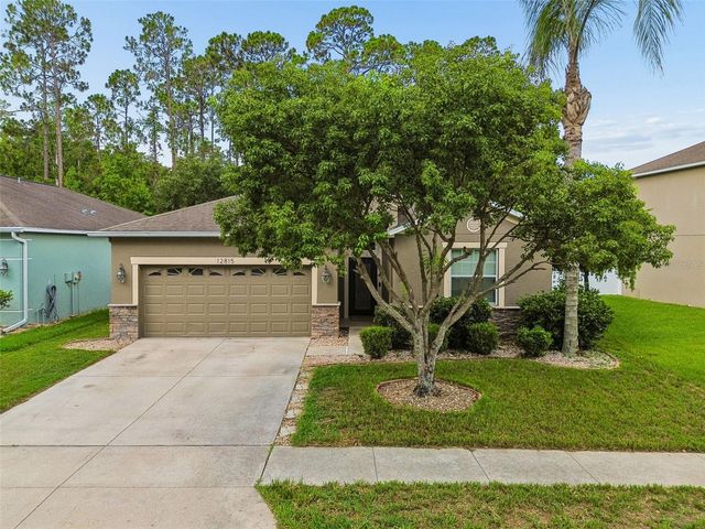 12815 WHITE BLUFF ROAD, Hudson, FL 34669