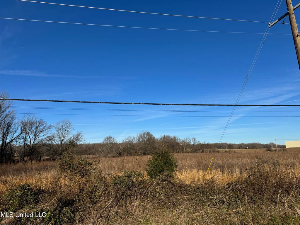 S Old Hwy 51, Hernando, MS 38632 — photo 2