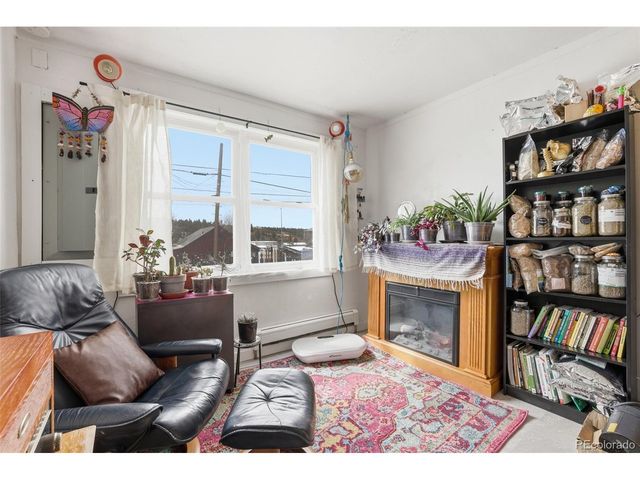 521 Elm St, Leadville, CO 80461