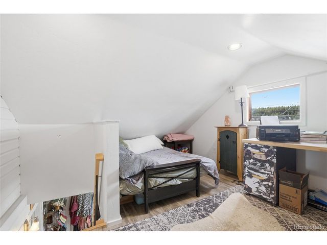 521 Elm St, Leadville, CO 80461