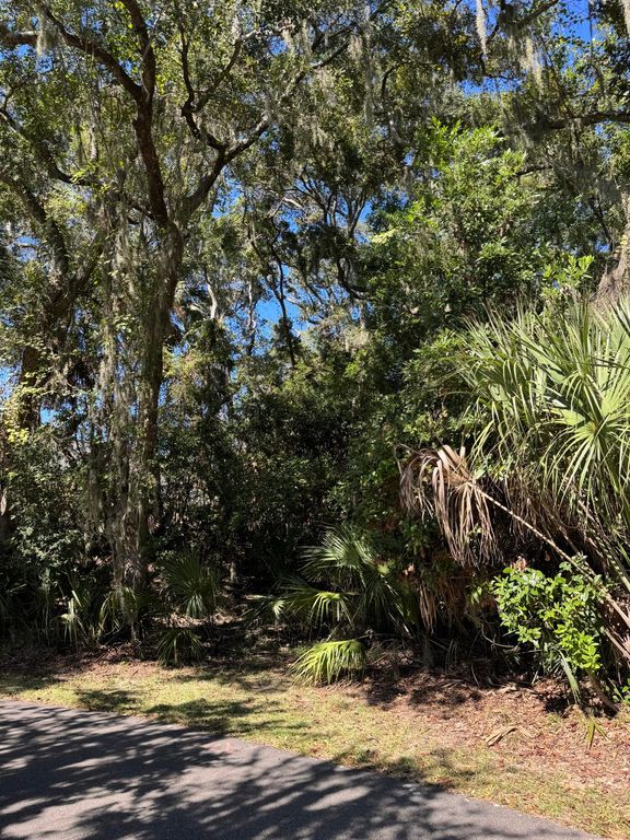 0 King Cotton Road, Edisto Beach, SC 29438