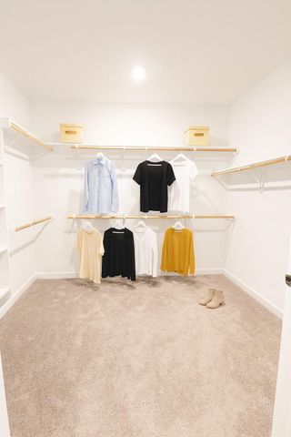 2426 Peach Oak Crossing, Manvel, TX 77578