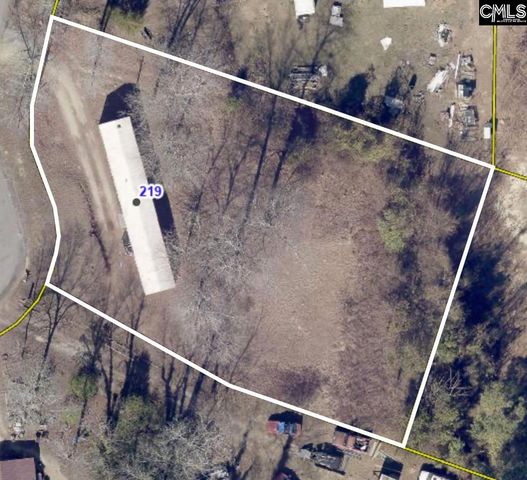 219 Paula Court, Gaston, SC 29053