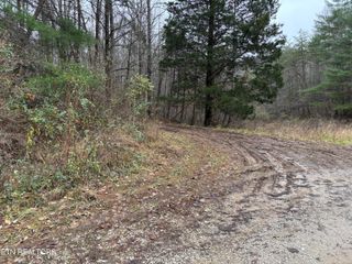William Newport Rd, Huntsville, TN 37756