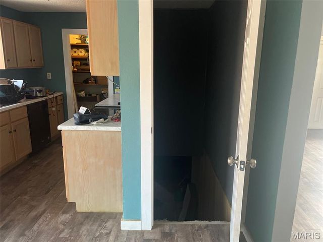 104 Chippewa, Irondale, MO 63648