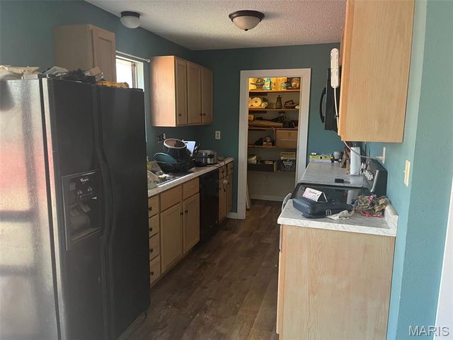 104 Chippewa, Irondale, MO 63648