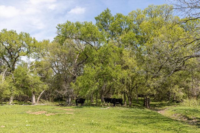 9885 County Road 270, Hico, TX 76457