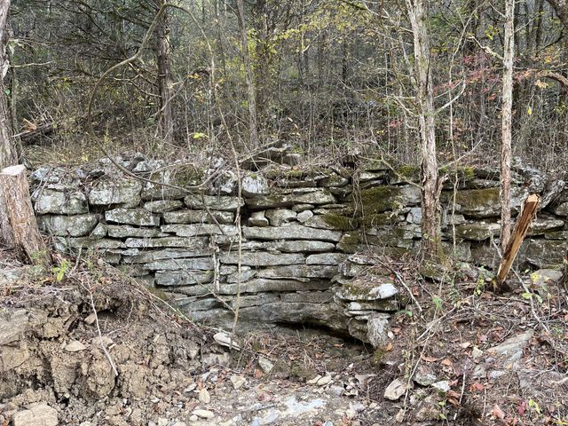 0 Club Springs Road, Elmwood, TN 38560