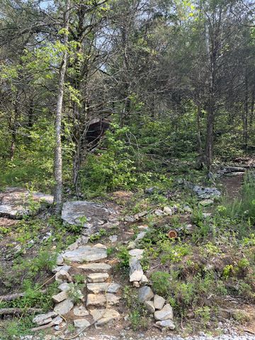 0 Club Springs Road, Elmwood, TN 38560