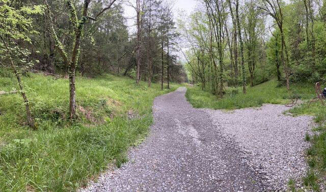 0 Club Springs Road, Elmwood, TN 38560