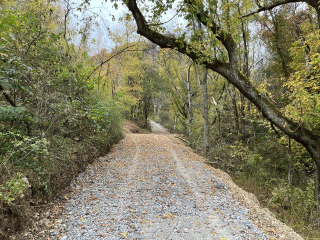 0 Club Springs Road, Elmwood, TN 38560