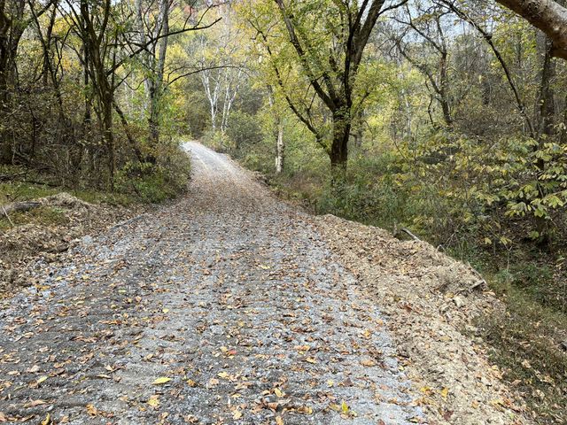 0 Club Springs Road, Elmwood, TN 38560