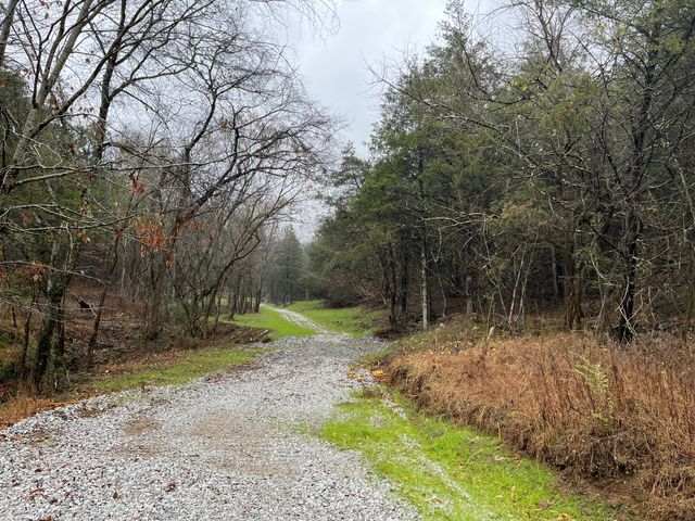 0 Club Springs Road, Elmwood, TN 38560