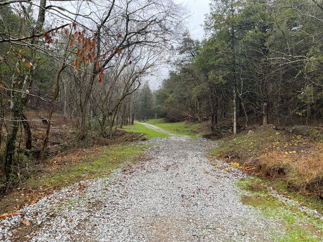 0 Club Springs Road, Elmwood, TN 38560