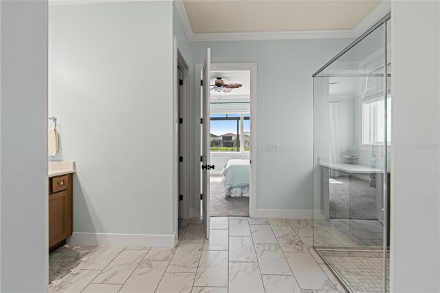 8761 DRUMMER PLANK DRIVE, Wesley Chapel, FL 33545