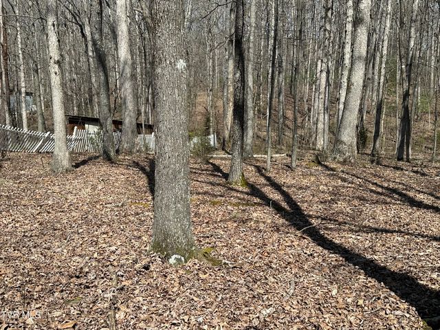 6800 West Allens Bridge Road, Greeneville, TN 37743