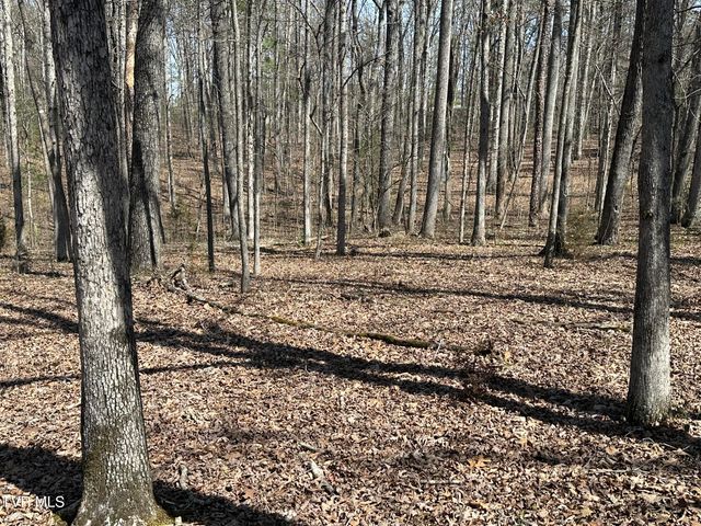 6800 West Allens Bridge Road, Greeneville, TN 37743