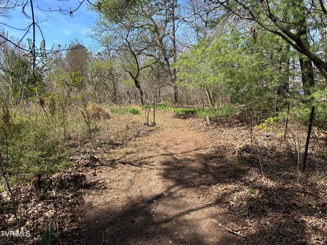 6800 West Allens Bridge Road, Greeneville, TN 37743