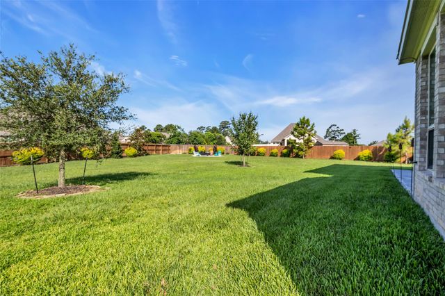 6006 Henry Hamlet Drive, Conroe, TX 77304