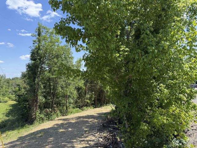 0 City Park Rd, Westmoreland, TN 37186