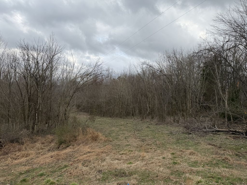 0 City Park Rd, Westmoreland, TN 37186