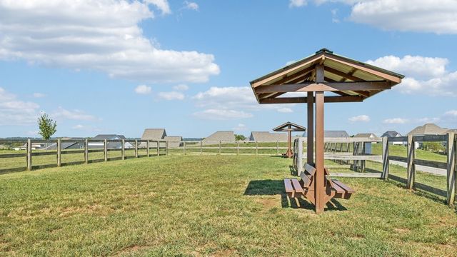 5009 Wild Oat Circle, Spring Hill, TN 37174