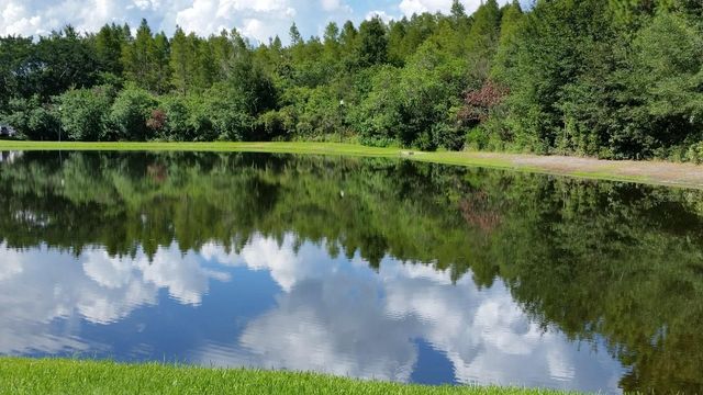 4201 WOODSTORKS WALK WAY 3109, Lutz, FL 33558