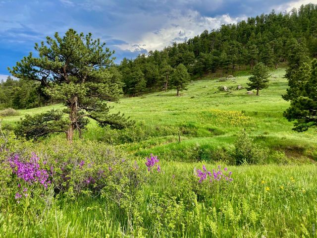 95 Rowell Dr, Lyons, CO 80540