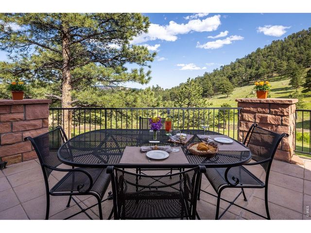 95 Rowell Dr, Lyons, CO 80540