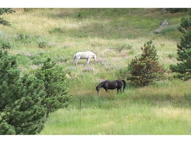 95 Rowell Dr, Lyons, CO 80540