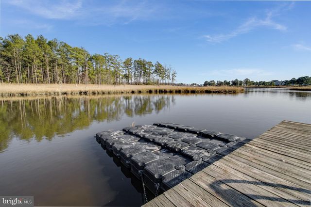 22106 S PRESERVATION DR, Millsboro, DE 19966