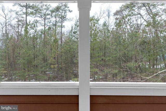 22106 S PRESERVATION DR, Millsboro, DE 19966