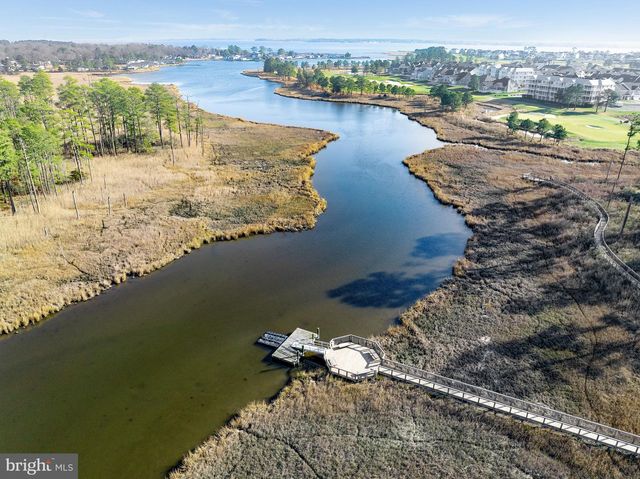 22106 S PRESERVATION DR, Millsboro, DE 19966