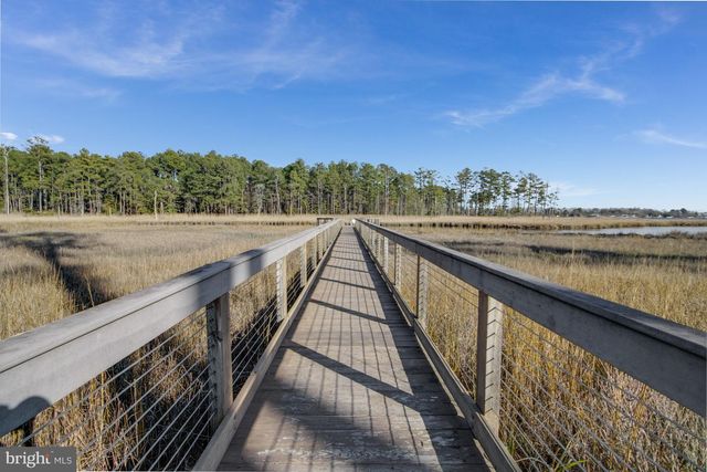 22106 S PRESERVATION DR, Millsboro, DE 19966