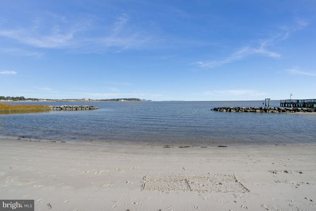 22106 S PRESERVATION DR, Millsboro, DE 19966