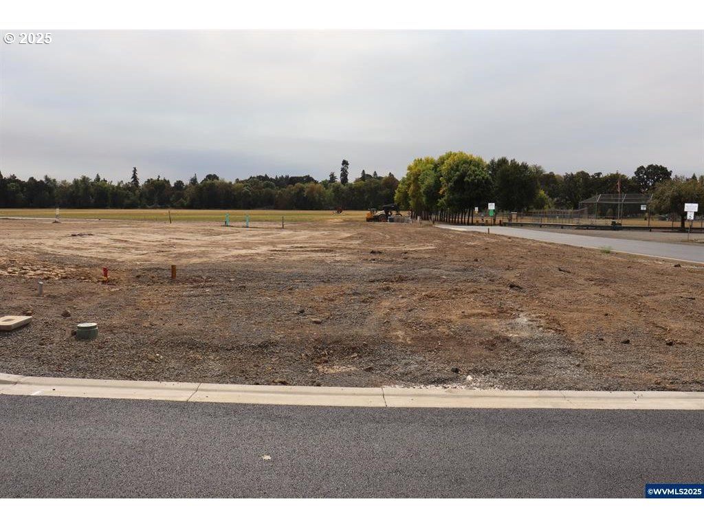 Lot 4 Block 6, Carlton, OR 97111