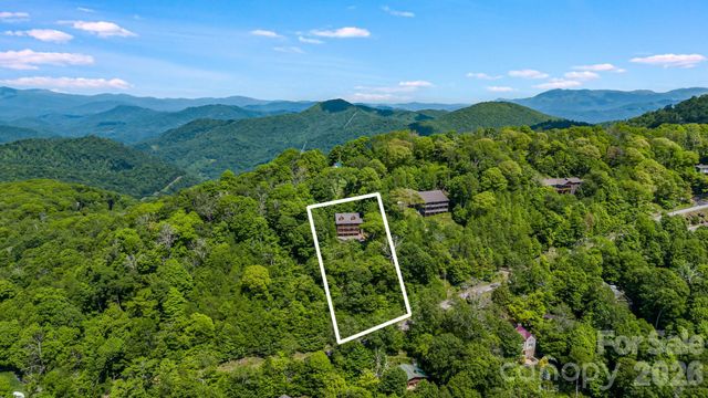 721 Mckinney Gap Drive, Mars Hill, NC 28754