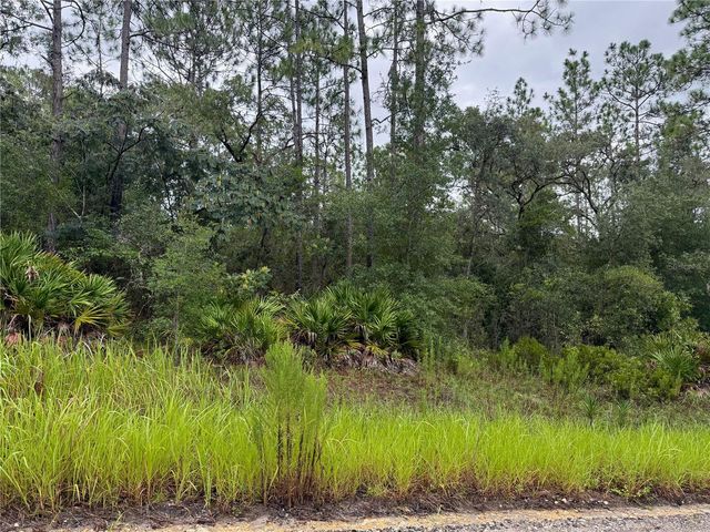 175 COURT, Dunnellon, FL 34432