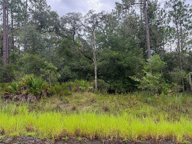 175 COURT, Dunnellon, FL 34432