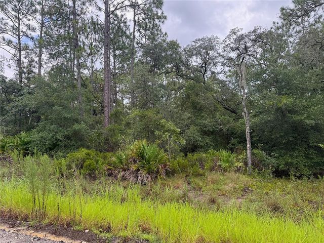 175 COURT, Dunnellon, FL 34432